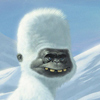 Yeti