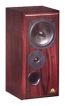 Castle Acoustics Warwick 3