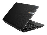 Packard Bell EasyNote TM81