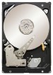 Seagate ST31000524NS