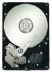 Seagate ST31000340NS