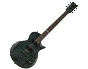 ESP LTD EC-100