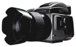 Hasselblad H3DII-31